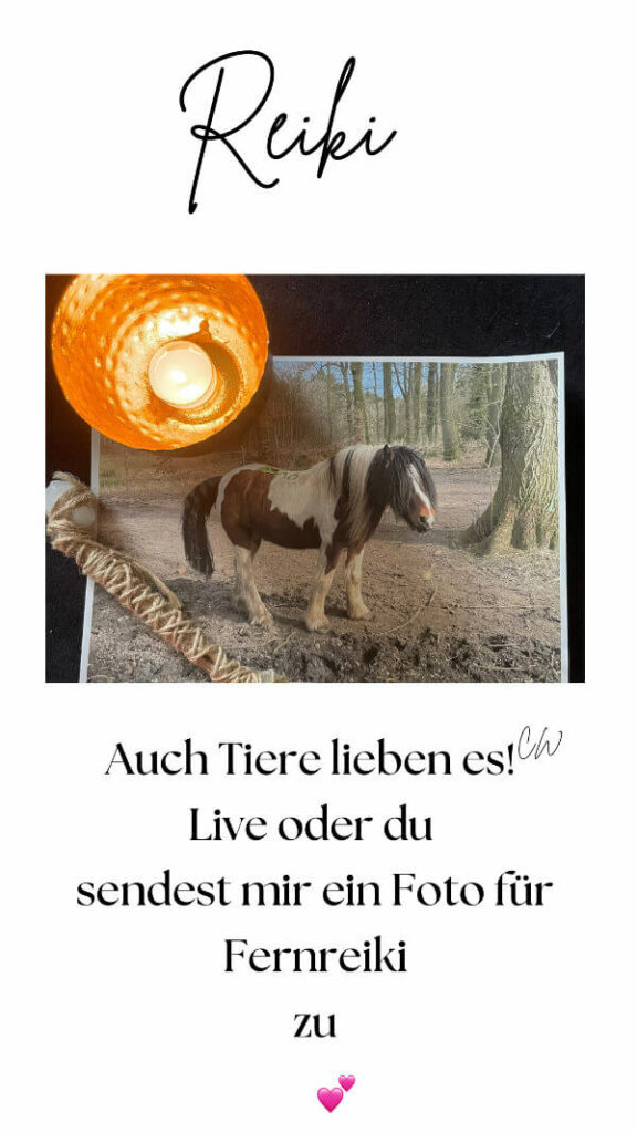 Reiki - Auch Tiere lieben es!
